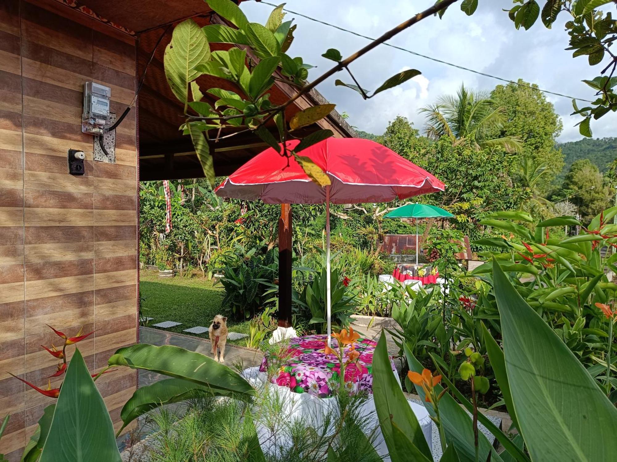 Gosela Bali Appartement Munduk Buitenkant foto